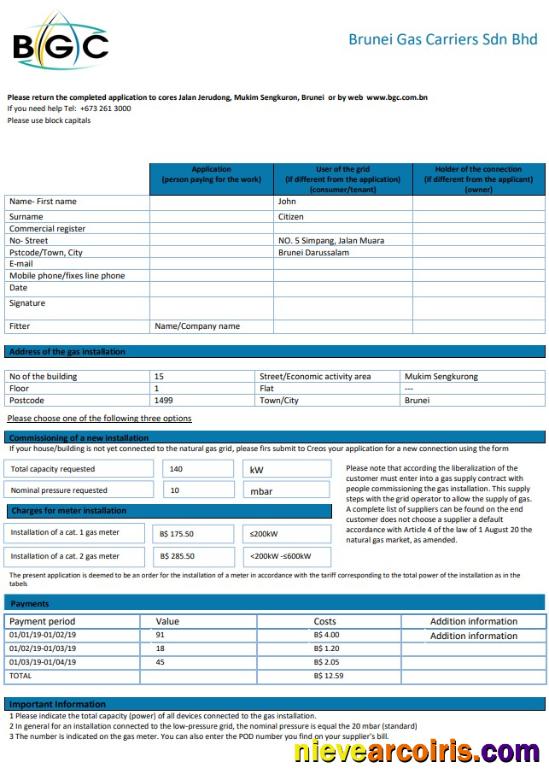 Brunei Gas Carriers gas utility bill